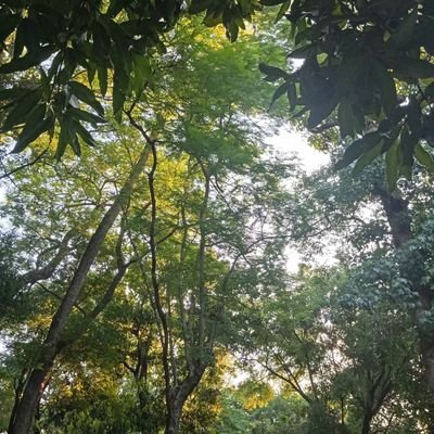 enpublico_pyo's profile picture. Nuevo por acá. Cuenta para morbosear y subir contenido de cruising, exhibicionismo y todo lo que sea en público. Enviame un DM si querés grabar algo conmigo.