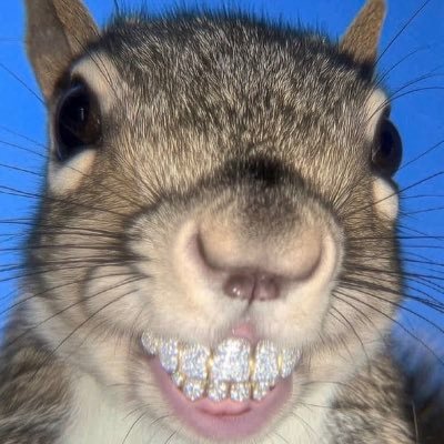 DouzooSol's profile picture. your tech quant👨🏿‍🍳. Douzoo’s TG: https://t.co/RNCSNb6gf3 . Axiom: https://t.co/vP66ZMAj8J