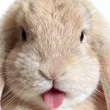 upantown's profile picture. 777