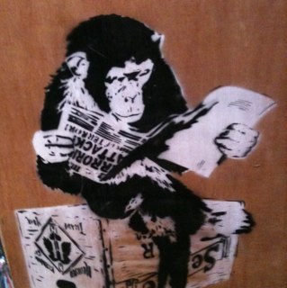 TimRudin's profile picture. 