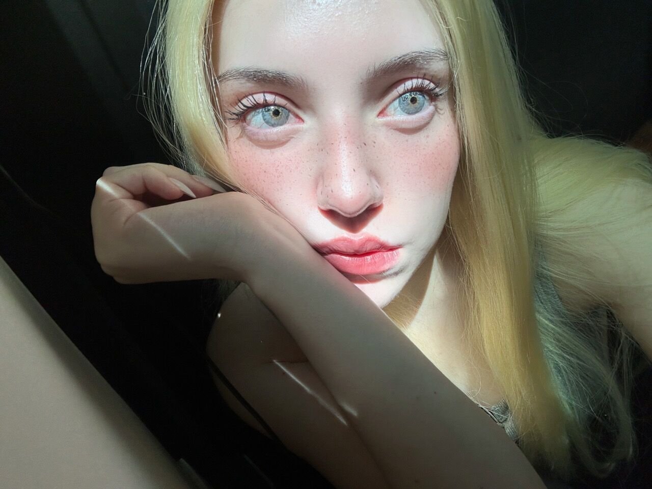 MontagueQu55228's profile picture. where do falling stars actually fall from, DM mee if you ve seen one