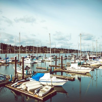 dvmehta55's profile picture. 