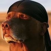 monk_eeeuu's profile picture. 