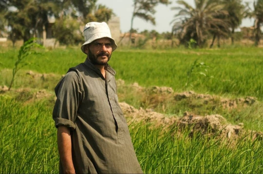 sfostera2's profile picture. عملي هو بستاني وفلاح / نزرع ورد الأهواز، ونسقيه بماء الولاء لإيران.