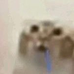 yumycraco's profile picture. hola