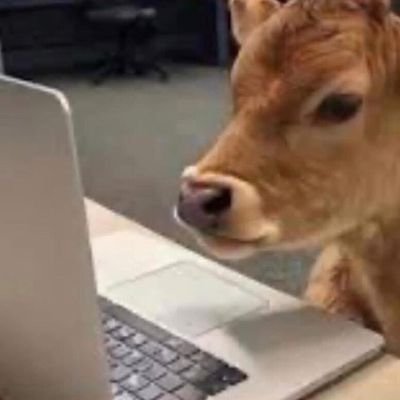 sangyeonaspad's profile picture. 