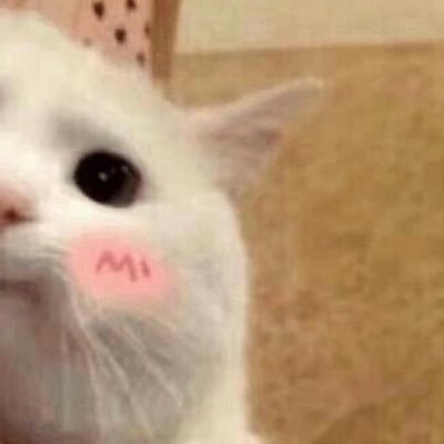 Praewjai0128's profile picture. CHUBBYGIRL