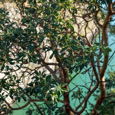 toproundtrip's profile picture. Top Round Trip is the best online tour and travel in Bali island. we provide  many fun activities during your holiday to Bali.