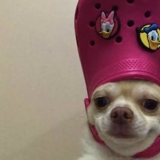 wolvesrichie's profile picture. If you can’t find something during, just look for it.