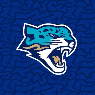 AstanaBarys's profile picture. Официальный аккаунт хоккейного клуба «Барыс»