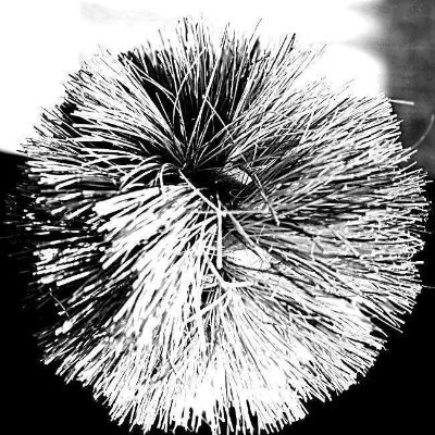 InspirationDrew's profile picture. 