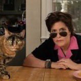 karacryptosuy's profile picture. American journalists 🇺🇸, we love America, survey personnel of Jack Dorsey