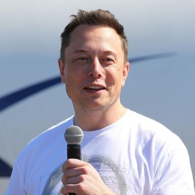 elonmusk356193's profile picture. 