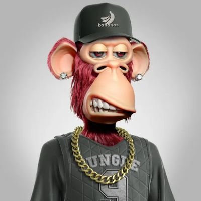 Biigsam01's profile picture. BSc : statistics l Raider | Shiller | Community  Manager