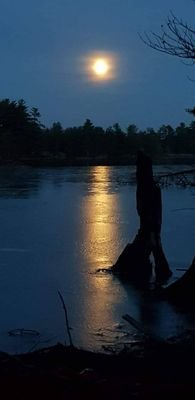 Adam46301780's profile picture. Mature Gentleman, not here for a long time but a good time.  Southwestern Ontario, Canada🇨🇦. lover of good music 🎶🎵🎶🎵, nature, retweet NSFW content.