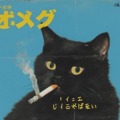 itsvilasboaaas's profile picture. minha vida é um manual de decisões ruins e isso aqui é meu diário