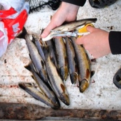 eol777's profile picture. 