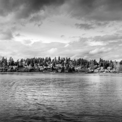 ionutz76's profile picture. 