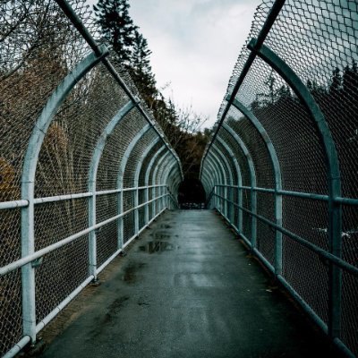 MICHDALBIR's profile picture. 