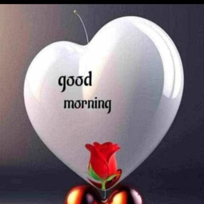 stanlystan25122's profile picture. 