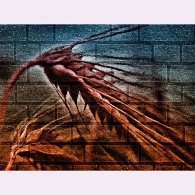 LJonasH's profile picture. 