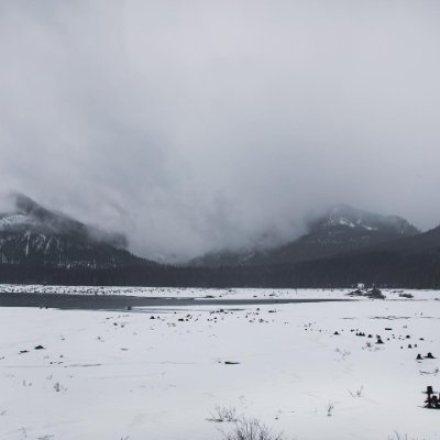 apoorvamalviya's profile picture. 