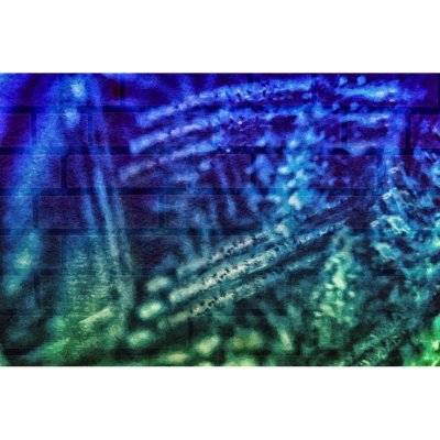 turleya's profile picture. 