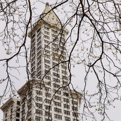 bethyzamoritack's profile picture. 