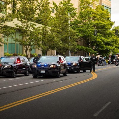 nitinsobti1's profile picture. 