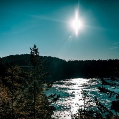 tong769's profile picture. 