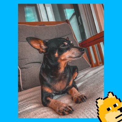 xave59157's profile picture. sympa, un peu raleur