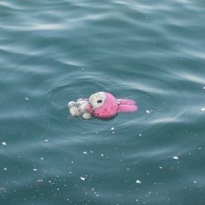 Veeeelma's profile picture. 