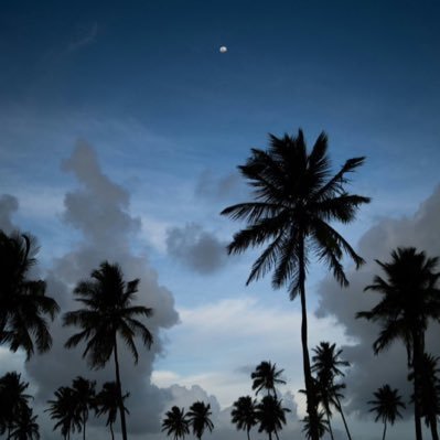 rawabiif_'s profile picture. 