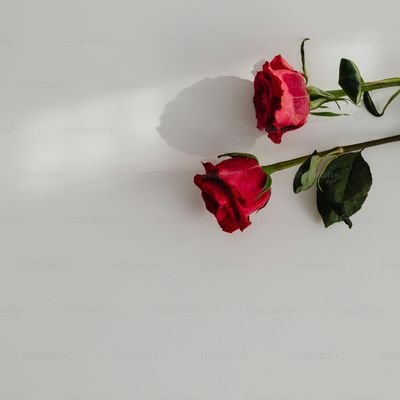 Thraia_XXX's profile picture. 