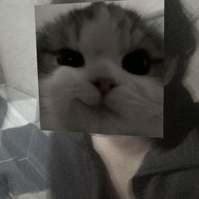 biawakrandam's profile picture. suka kamu boleh ngga sih