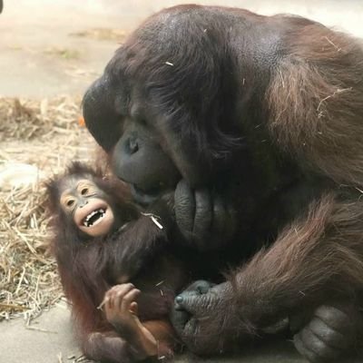 MattOsterndorf's profile picture. 