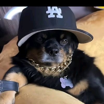 IsmaelGonzale99's profile picture. 🇪🇨 Fútbol⚽ Emelec💙 BDP🎺 ESPE💚
Docencia.......