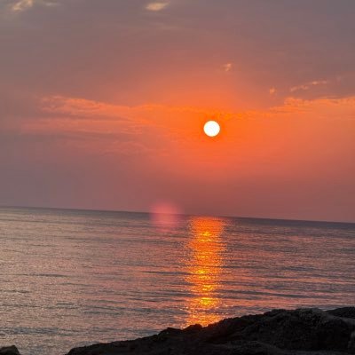 pukicoinoficial's profile picture. 