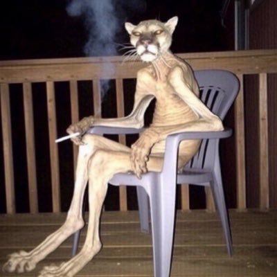 Katharina833's profile picture. I’m fluent in sarcasm🙃. I tweet in Kreyòl, Français & English interchangeably 🧠 🌎 Universal soul. ✍🏽Poet /🎨 rooted in 🇭🇹 ✨ADHD/Complex PTSD Survivor💜