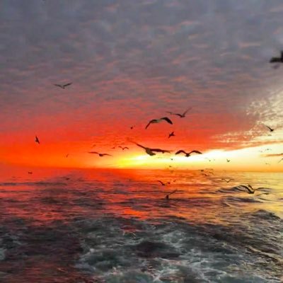 atilangeles's profile picture. Minimalist curator 🖤｜Lines are more important than prints｜I don’t say too much, but the clothes speak for themselves