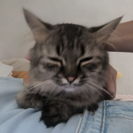 real__dkdc's profile picture. my safe space.