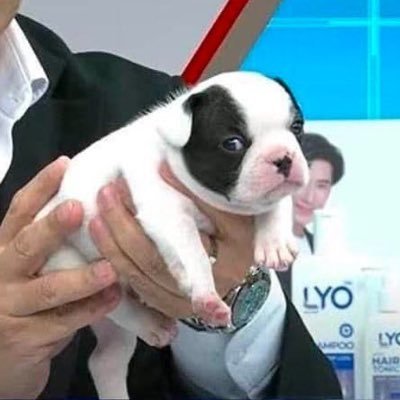 sssaw_24's profile picture. อาจินต์ เอาผมไปฆ่าให้ตาย ผมก็รักคุณ | The bar is on the fucking floor |