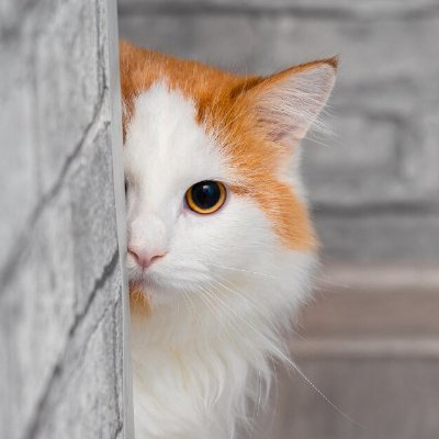 CatarinaRh63836's profile picture. みなさんの嫌いな通話在籍確認なしでのご案内！
こちらからhttps://t.co/5i95ZCFKOO