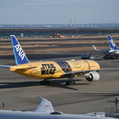 to14272207's profile picture. 空活再開📷