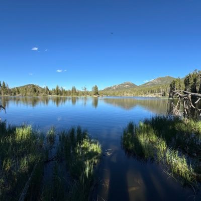 Ferocety's profile picture. on go til i go