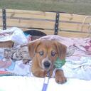 Ramona  Suarez - @rsjeanne - Twitter