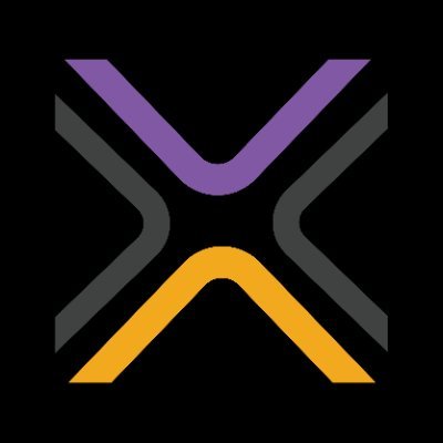 LuxedoCourts's profile picture. Luxedo transforms sports courts into immersive high impact spaces using projection technology to elevate branding and fan experience for schools and colleges.