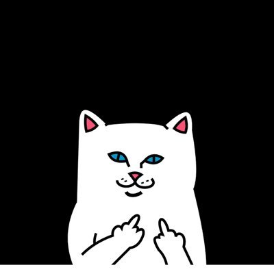 floripond10's profile picture. 1999. todo ironía, no se tomen nada literal