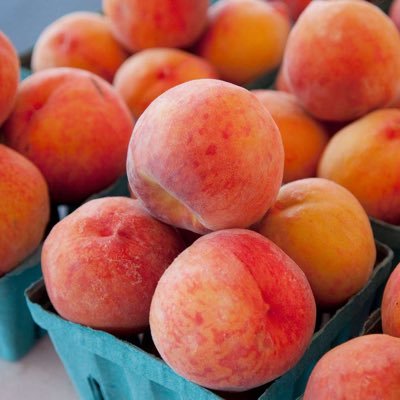 BootyApprover's profile picture. 🍑Dm for feature🍑You can remain anonymous🍑MUST BE OVER 18 🚨