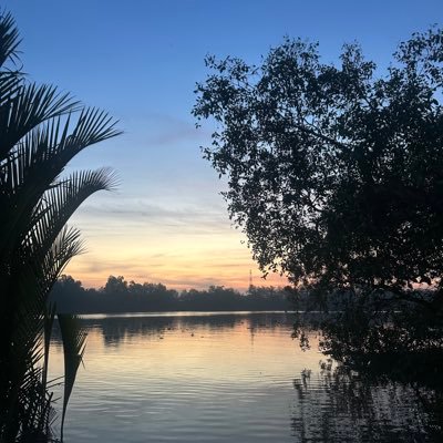 thb89982's profile picture. 